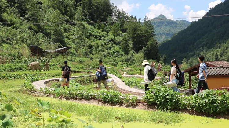 龍門浩職業(yè)中學(xué)校 · 寫生基地建設(shè)實地調(diào)研